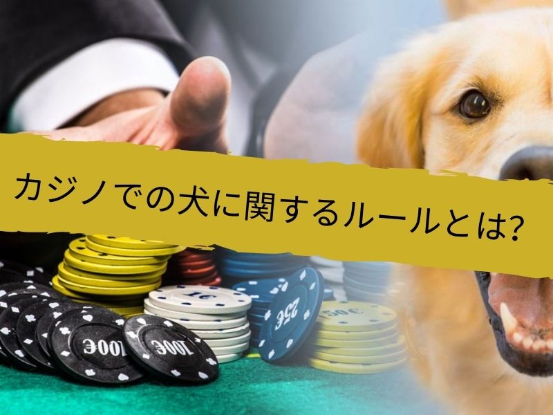 モバイルカジノとオンラインギャンブルの最新トレンド (26)